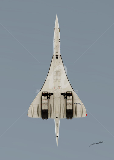 Arte digital titulada "Concorde anatomie" por Thibault Cernaix, Obra de arte original, Modelado 3D