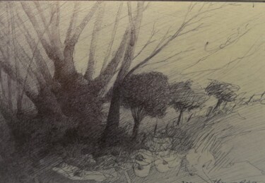 Drawing titled "campagne" by Thierry Carol Ratel, Original Artwork, Ballpoint pen