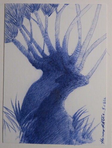 Drawing titled "le saule" by Thierry Carol Ratel, Original Artwork, Ballpoint pen