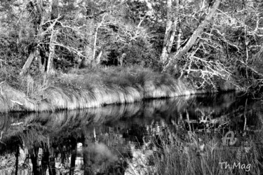 "Esprit-de-la-foret" başlıklı Fotoğraf Thierry Magliulo (Th.Mag) tarafından, Orijinal sanat