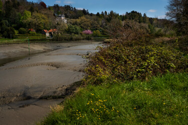 "La rivière de Morla…" başlıklı Fotoğraf Thierry Martin tarafından, Orijinal sanat, Dijital Fotoğrafçılık