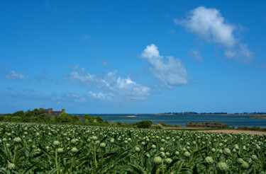 Photography titled "En allant à Trégond…" by Thierry Martin, Original Artwork, Digital Photography