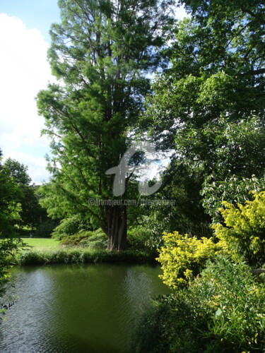Fotografie getiteld "Visite de l'Arborét…" door Thierry Singer De Polignac - Spencer (Prince Singer de Polignac-Spencer), Or…