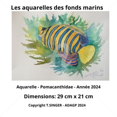 Peinture intitulée "Aquarelles fonds ma…" par Thierry Singer De Polignac - Spencer (Prince Singer de Polignac-Spencer), Œuvr…