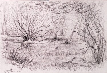 Drawing titled "Bois à Fontainebleau" by Thomas Rodet, Original Artwork, Graphite