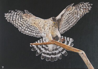 Schilderij getiteld "Hawk" door Thomas Svoboda, Origineel Kunstwerk, Olie