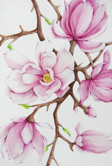 Painting titled "Magnolia" by Tanya Azarchik, Original Artwork, Watercolor