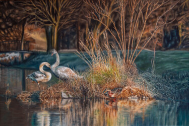 Painting titled "Swan Couple on a Is…" by Tibor Horvath, Original Artwork, Oil