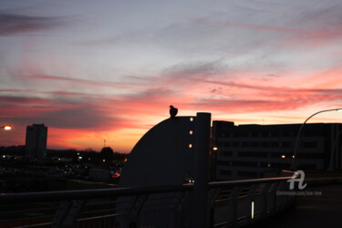 Photography titled "City Sky" by Tina Lane, Original Artwork