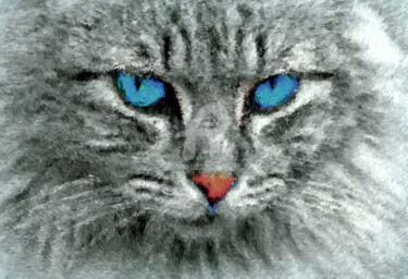 Arts numériques intitulée "Le chat. The cat." par Tito Villa, Œuvre d'art originale, Peinture numérique
