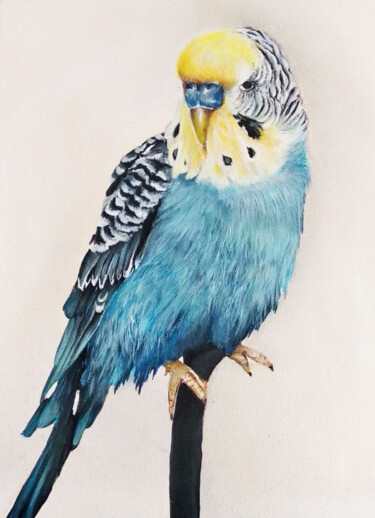 Pintura titulada "Parrot" por Tatiana Kvasnitsina, Obra de arte original, Acrílico