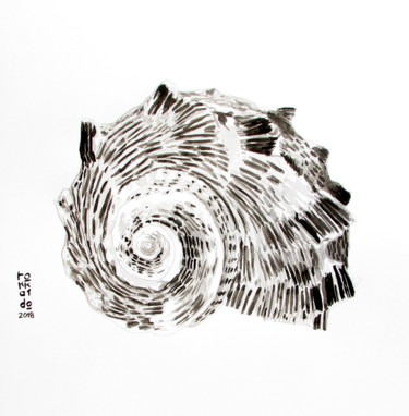 Drawing titled "Seashell Ink Art" by Tokkaido, Original Artwork, Ink