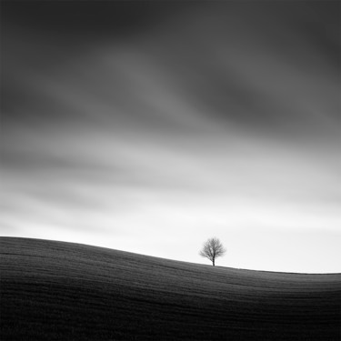 Fotografie mit dem Titel "Alone in the fields" von Tomáš Tisoň, Original-Kunstwerk, Digitale Fotografie