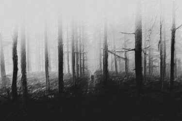 제목이 "Misty Forest"인 미술작품 Tony Rubino로, 원작, 아크릴 나무 들것 프레임에 장착됨