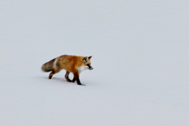 Картина под названием "Fox In Snow" - Tony Rubino, Подлинное произведение искусства, Акрил Установлен на Деревянная рама для…