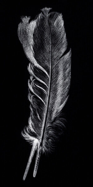 Ζωγραφική με τίτλο "Feather Black" από Tony Rubino, Αυθεντικά έργα τέχνης, Ακρυλικό Τοποθετήθηκε στο Ξύλινο φορείο σκελετό