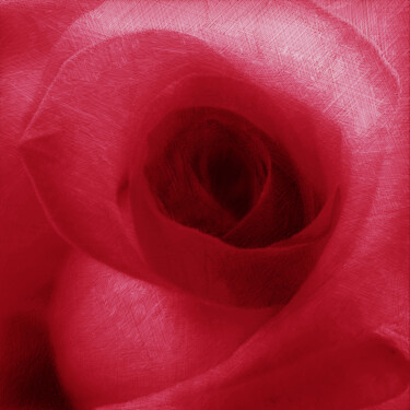 Digital Arts titled "Red Rose Floral" by Tony Rubino, Original Artwork, Digital Painting Mounted on Wood Stretcher frame