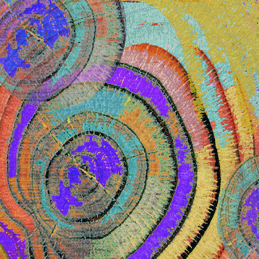 Malarstwo zatytułowany „Tree Ring Abstract 3” autorstwa Tony Rubino, Oryginalna praca, Akryl Zamontowany na Drewniana rama n…