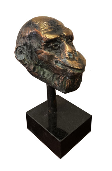 Escultura titulada "Monkey head" por Kristof Toth, Obra de arte original, Bronce