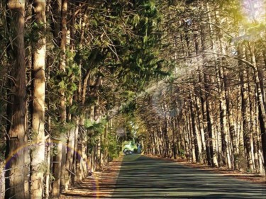 Fotografía titulada "Tree Road" por Manos Kastanakis, Obra de arte original