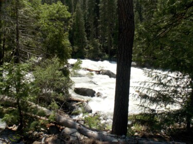 Fotografía titulada "Yosemite Whitewater…" por Troy Wilson-Ripsom, Obra de arte original, Fotografía digital