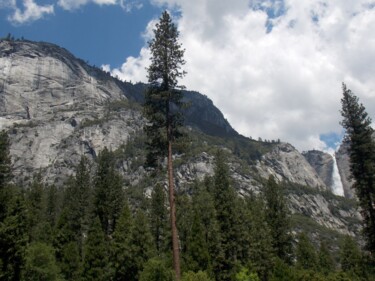 Fotografia zatytułowany „Yosemite Valley Vie…” autorstwa Troy Wilson-Ripsom, Oryginalna praca, Fotografia cyfrowa