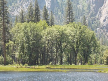 Фотография под названием "Yosemite Zen 2" - Troy Wilson-Ripsom, Подлинное произведение искусства, Цифровая фотография
