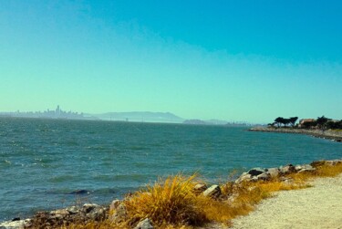 Fotografie mit dem Titel "View of San Francis…" von Troy Wilson-Ripsom, Original-Kunstwerk, Digitale Fotografie