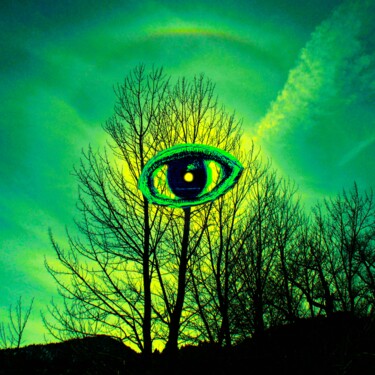 "Eye of the Watcher" başlıklı Dijital Sanat Troy Wilson-Ripsom tarafından, Orijinal sanat, Fotoşoplu fotoğrafçılık