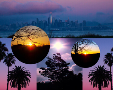 Digital Arts titled "2024 Dawns Over the…" by Troy Wilson-Ripsom, Original Artwork, Digital Collage