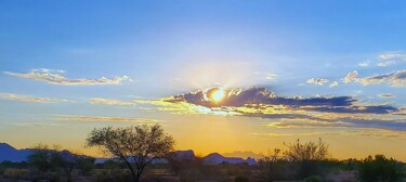 Fotografia intitolato "Morning Desert Glow" da Troy Wilson-Ripsom, Opera d'arte originale, Fotografia digitale