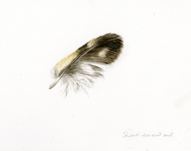 "Short eared owl fea…" başlıklı Tablo Una Hurst tarafından, Orijinal sanat, Suluboya