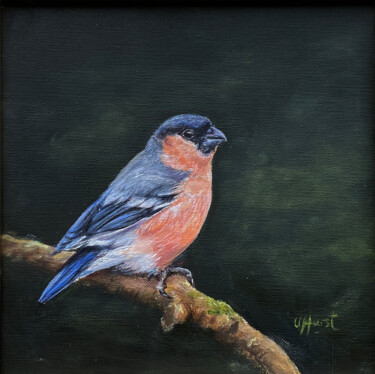 "Bullfinch bird" başlıklı Tablo Una Hurst tarafından, Orijinal sanat, Petrol