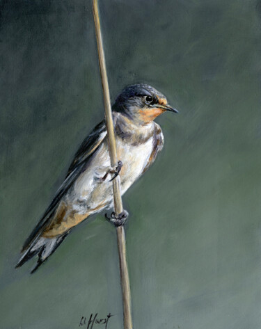 Pintura titulada "Swallow" por Una Hurst, Obra de arte original, Oleo