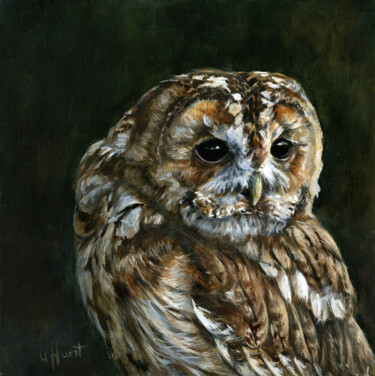 Schilderij getiteld "Tawny owl Strix alu…" door Una Hurst, Origineel Kunstwerk, Olie Gemonteerd op Frame voor houten brancard