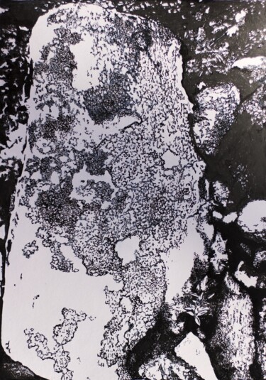 Dibujo titulada "Arctic lichens study" por Przemek Kret, Obra de arte original, Tinta