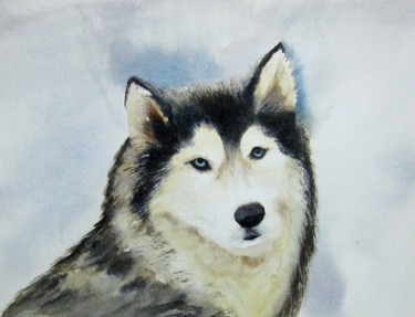 Peinture intitulée "Husky" par Les Aquarelles D’Uve, Œuvre d'art originale, Aquarelle