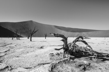 Fotografia intitulada "Namib Desert-0719-SW" por Uwe Bauch, Obras de arte originais, Fotografia digital