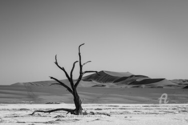 Фотография под названием "Namib Desert-0703-SW" - Uwe Bauch, Подлинное произведение искусства, Цифровая фотография