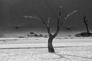 Fotografia intitulada "Namib Desert-0598-SW" por Uwe Bauch, Obras de arte originais, Fotografia digital