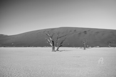 Fotografia intitulada "Namib Desert-0614-SW" por Uwe Bauch, Obras de arte originais, Fotografia digital