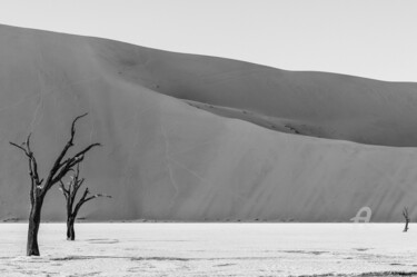 Fotografia intitolato "Namib Desert-0700-SW" da Uwe Bauch, Opera d'arte originale, Fotografia digitale