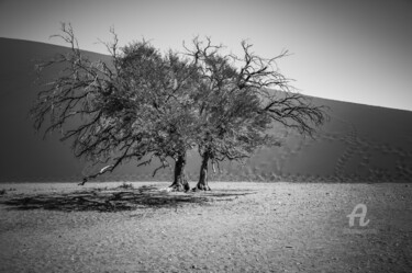Fotografía titulada "Namib Desert-0912-SW" por Uwe Bauch, Obra de arte original, Fotografía digital