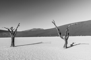 Fotografia intitolato "Namib Desert-0591-SW" da Uwe Bauch, Opera d'arte originale, Fotografia digitale