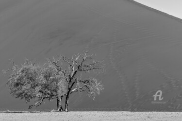 Photography titled "Namib Desert-0920-SW" by Uwe Bauch, Original Artwork, Digital Photography