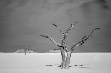 Fotografia intitolato "Namib Desert-0595-SW" da Uwe Bauch, Opera d'arte originale, Fotografia digitale