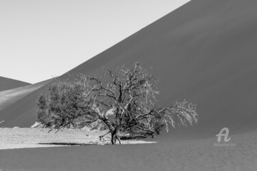 Fotografia zatytułowany „Namib Desert-0983-SW” autorstwa Uwe Bauch, Oryginalna praca, Fotografia cyfrowa