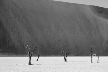 Photography titled "Namib Desert-0672-SW" by Uwe Bauch, Original Artwork, Digital Photography