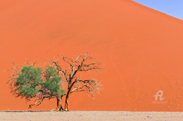 Fotografía titulada "Namib Desert-0920" por Uwe Bauch, Obra de arte original, Fotografía digital