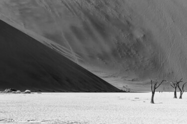 Fotografia intitulada "Namib Desert-0671-SW" por Uwe Bauch, Obras de arte originais, Fotografia digital